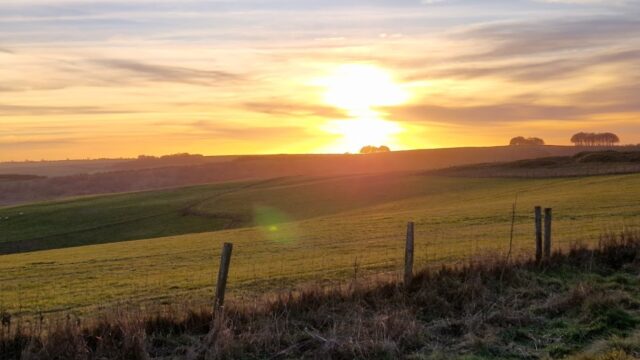 Dog walk at Ridgeway Barbury Castle Country Park