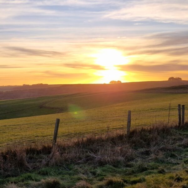 Ridgeway Barbury Castle Country Park photo 1
