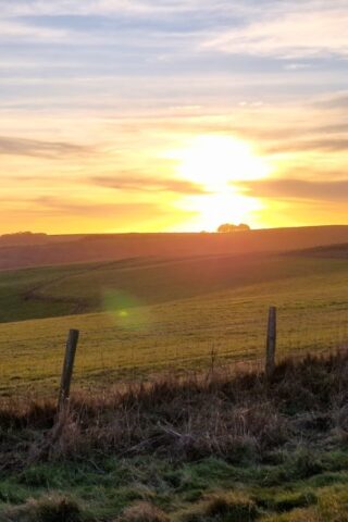 Dog walk at Ridgeway Barbury Castle Country Park photo
