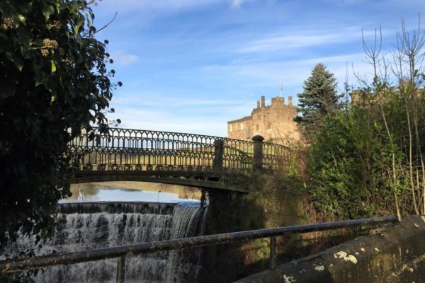 Ripley Castle Dog Walkphoto