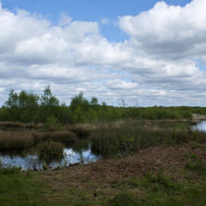 Risley Moss Nature Reserve