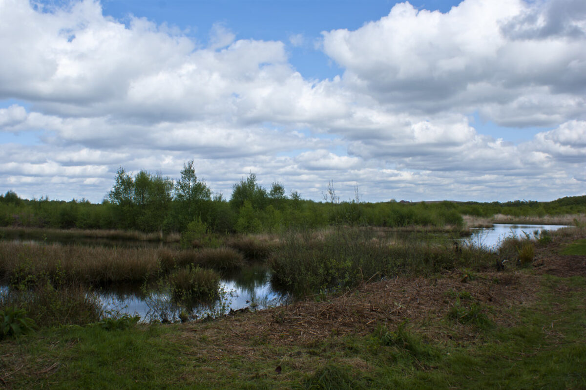 Risley Moss Nature Reserve large photo 1