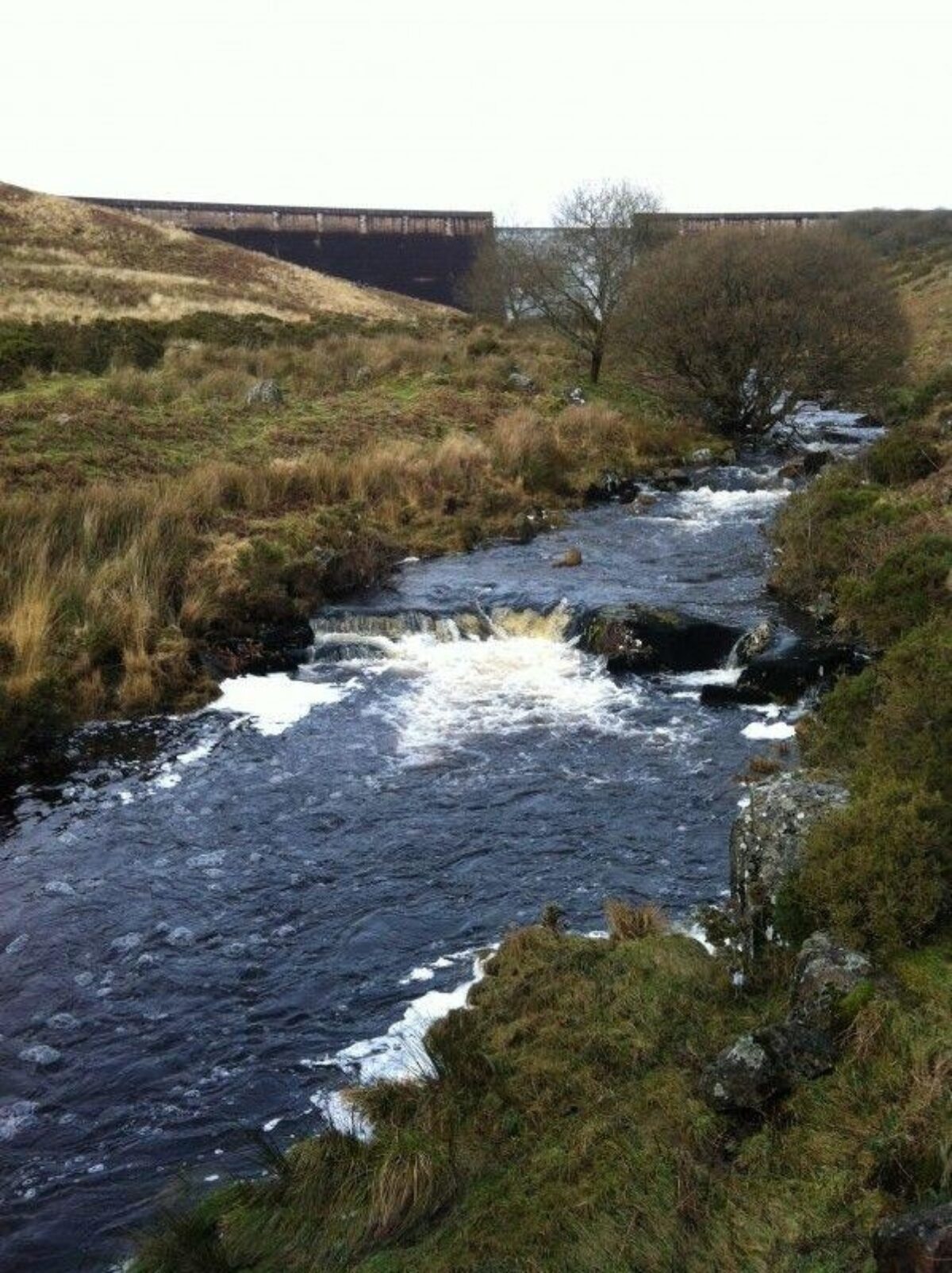 River Avon Dam, Dartmoor large photo 5