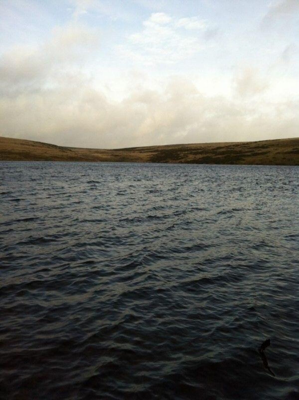 River Avon Dam, Dartmoor large photo 7