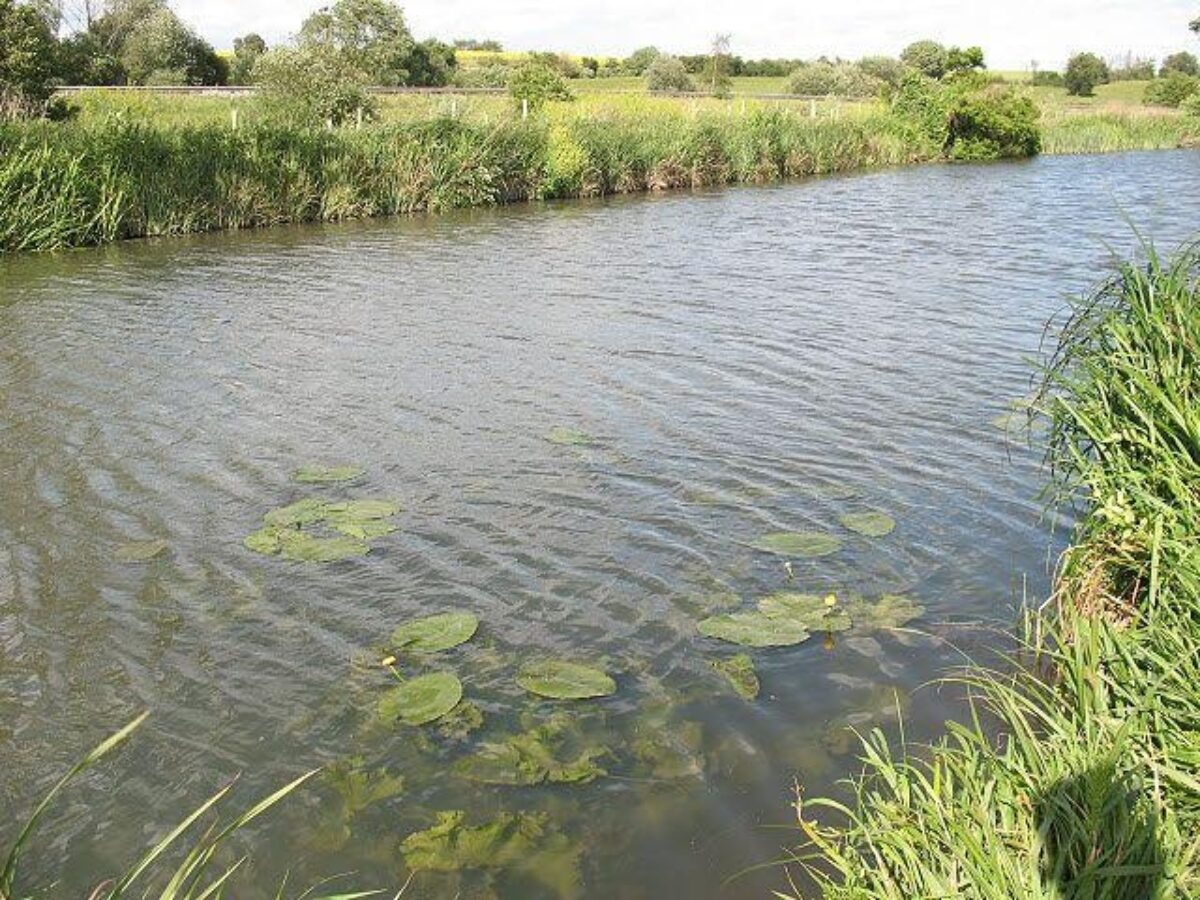 River Stort large photo 4