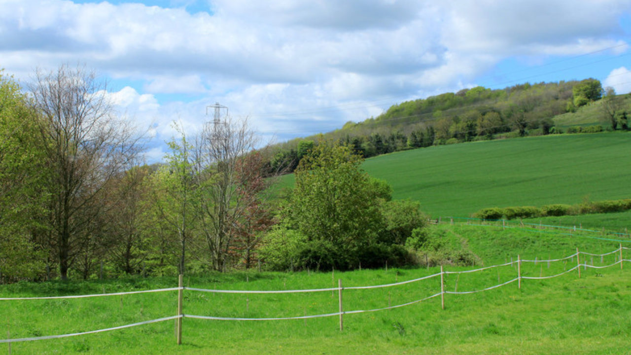Dog walks in Wiltshire · Walkiees