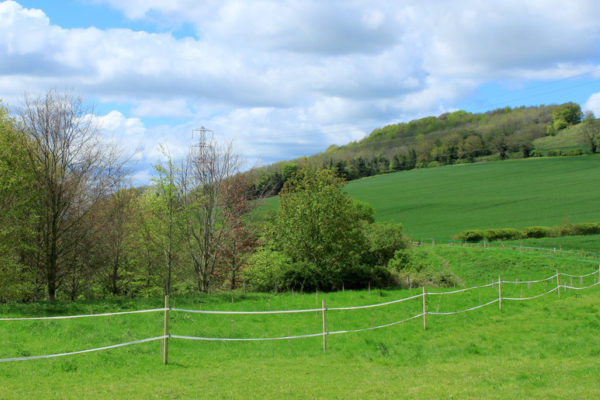 Roundway Hillphoto