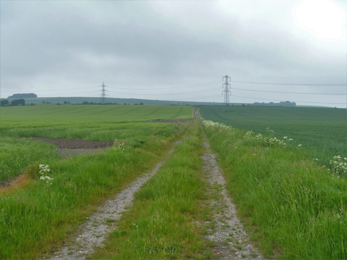 Roundway Hill large photo 2