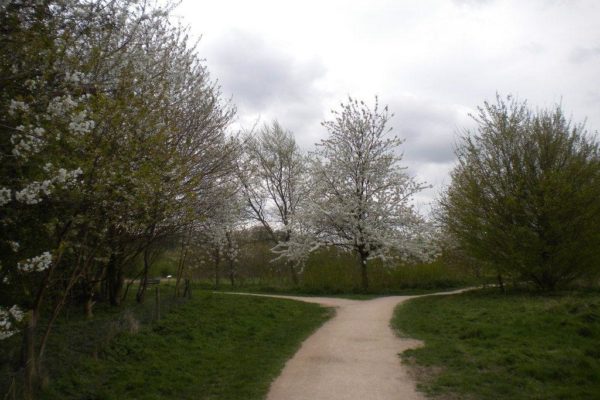 Ruddington (rushcliffe) Country Parkphoto