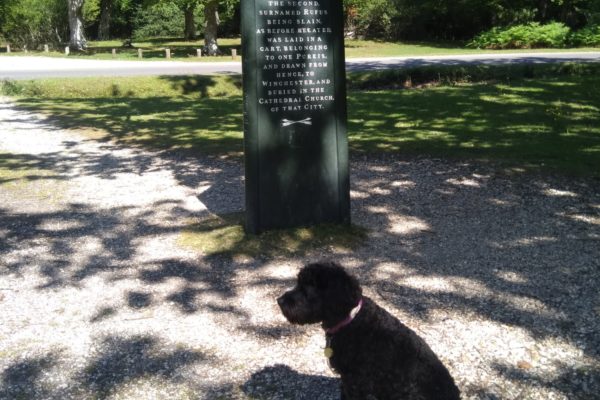 Rufus Stone - Stoney Cross, New Forestphoto