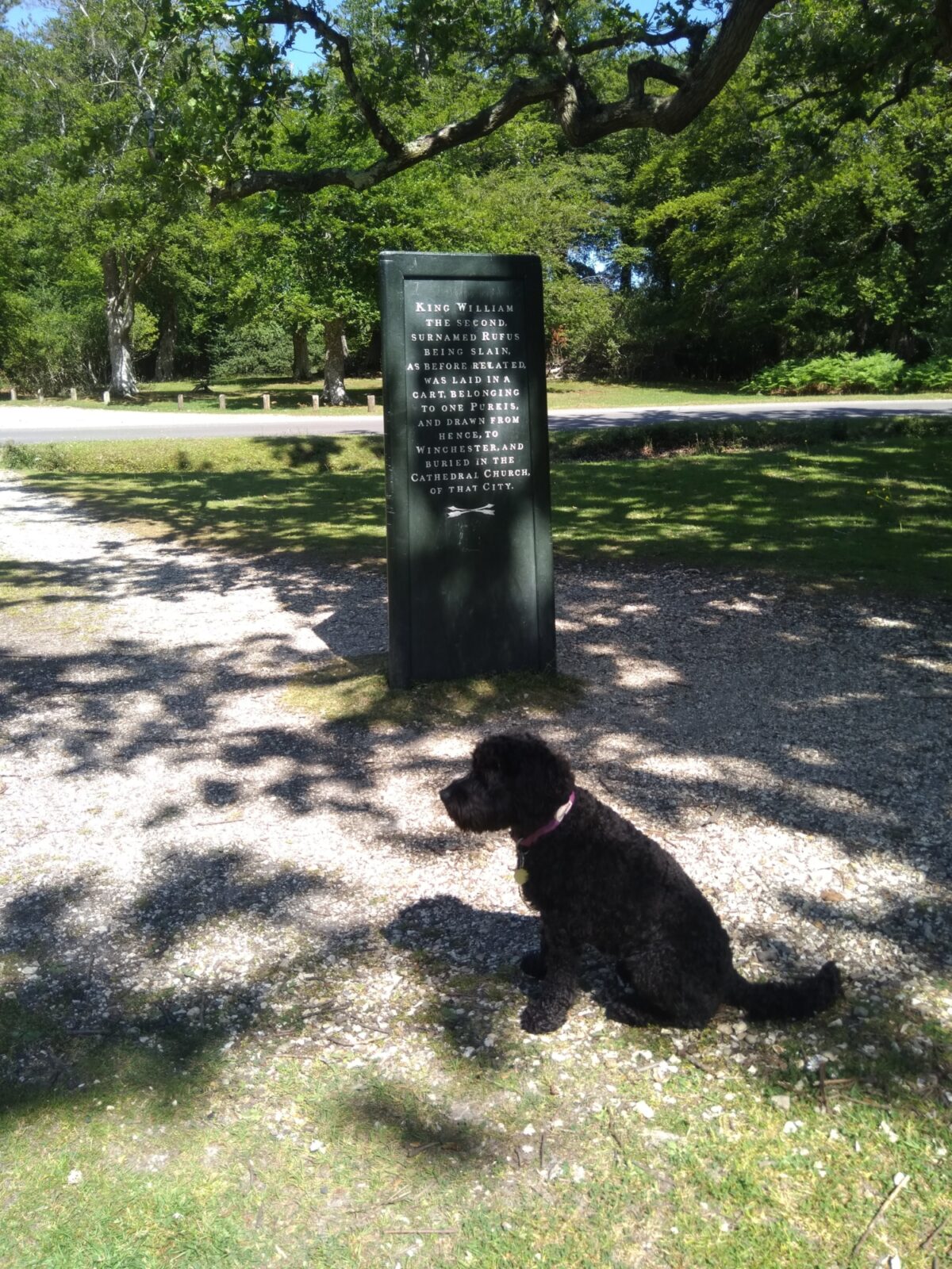 Rufus Stone - Stoney Cross, New Forest large photo 1