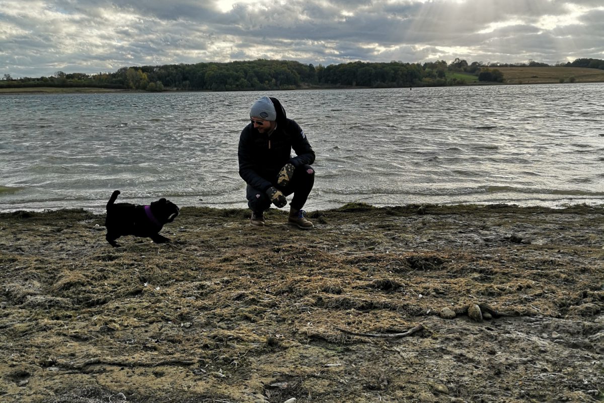 Dog walk at Rutland Water Reservoir · Rutland · Walkiees