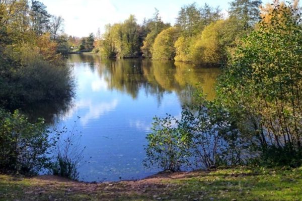 Ryton Pools Country Parkphoto