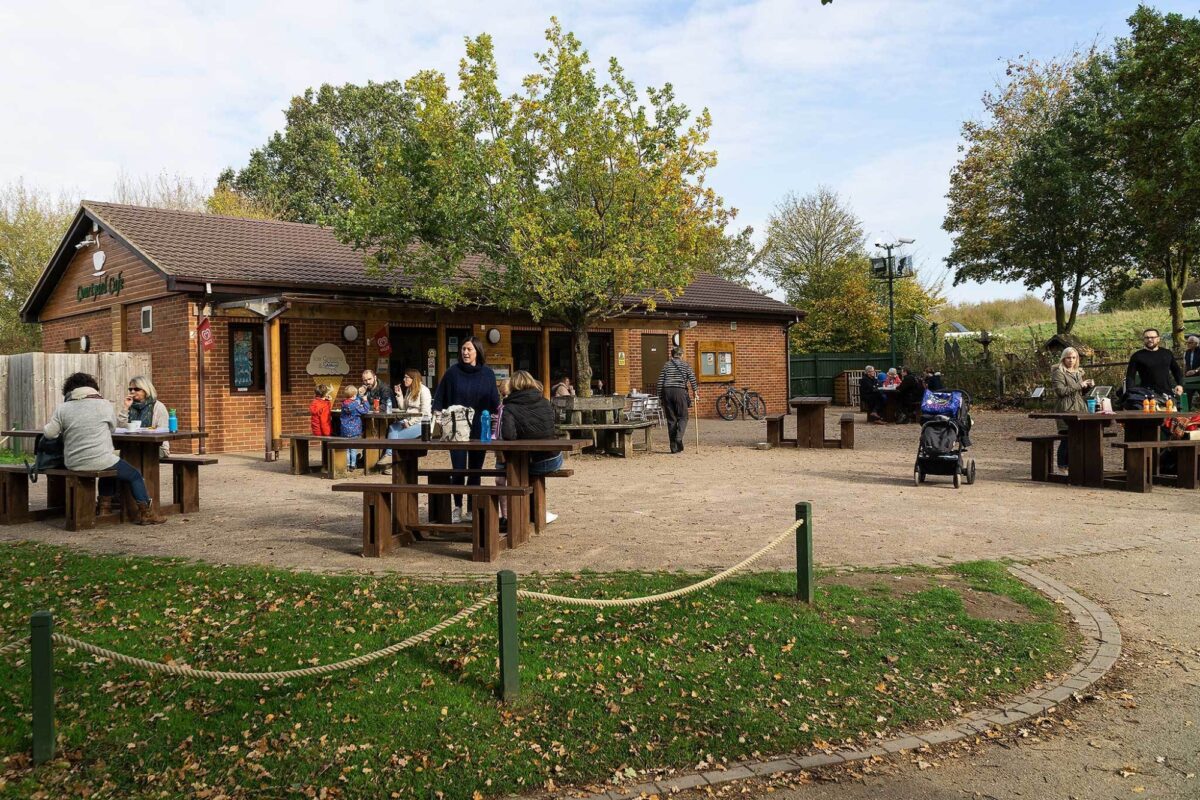 Ryton Pools Country Park large photo 3