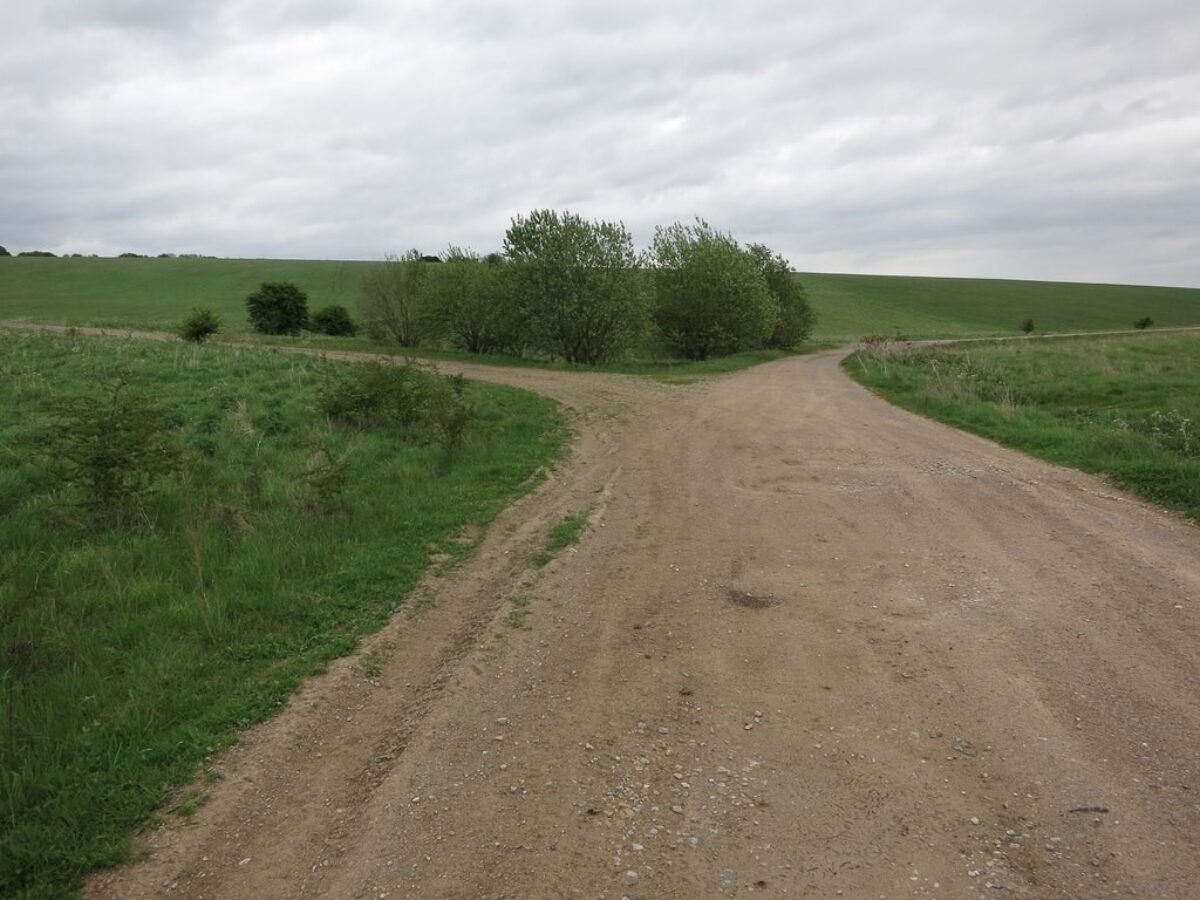 Salisbury Plain large photo 1