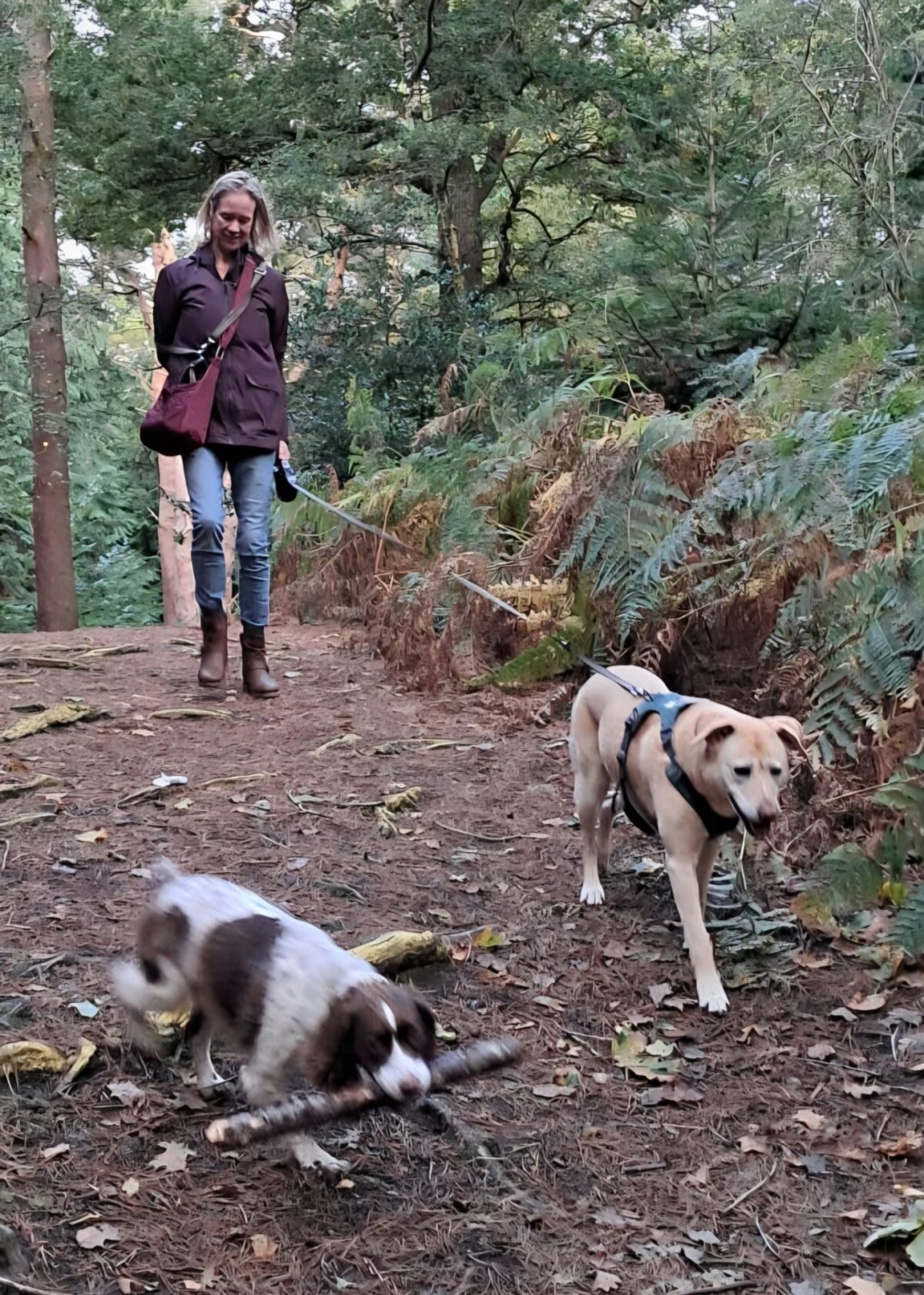 Sandringham large photo 3