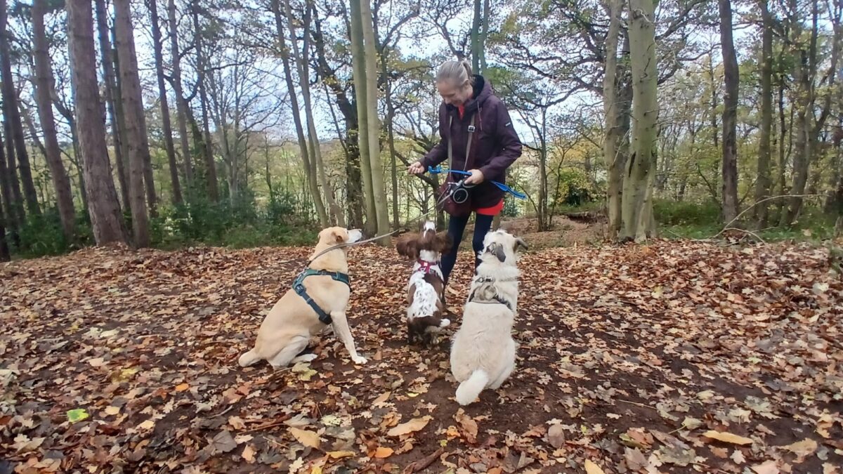 Sandringham large photo 4