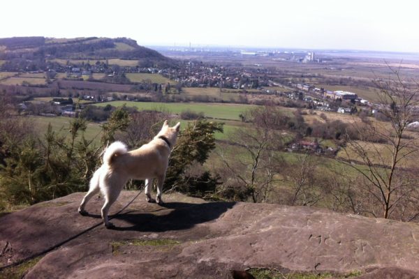 Sandstone Trailphoto