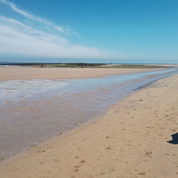 Seahouses - Bamburgh photo 2