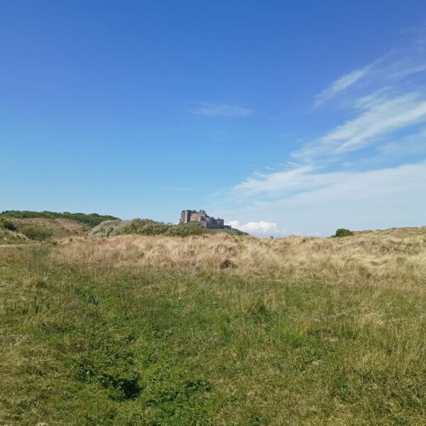 Seahouses - Bamburgh photo 3