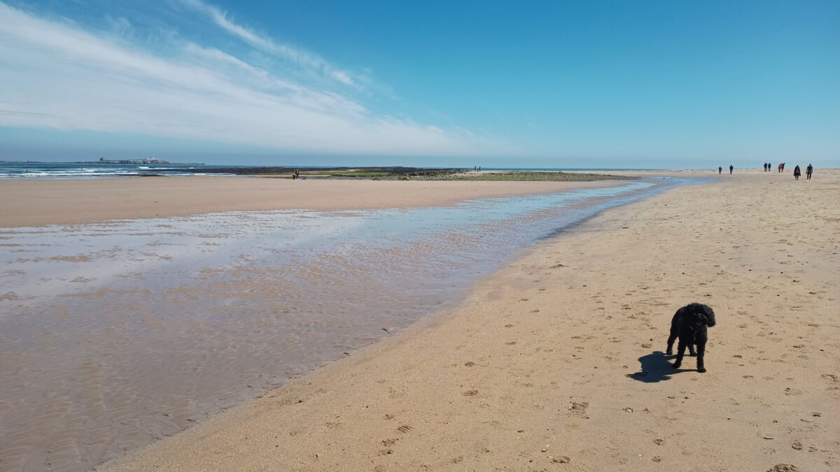 Seahouses - Bamburgh large photo 2