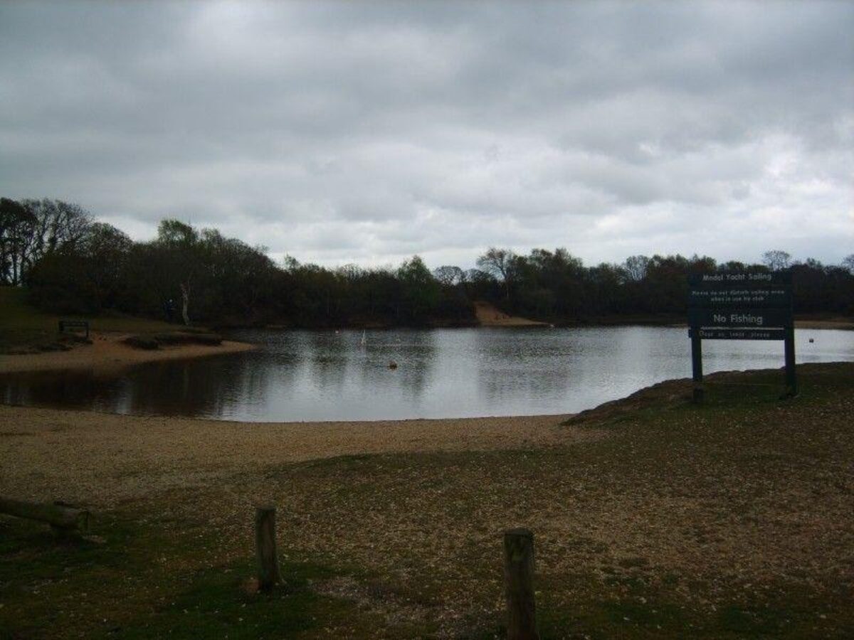 Setley Pond (New Forest) large photo 2