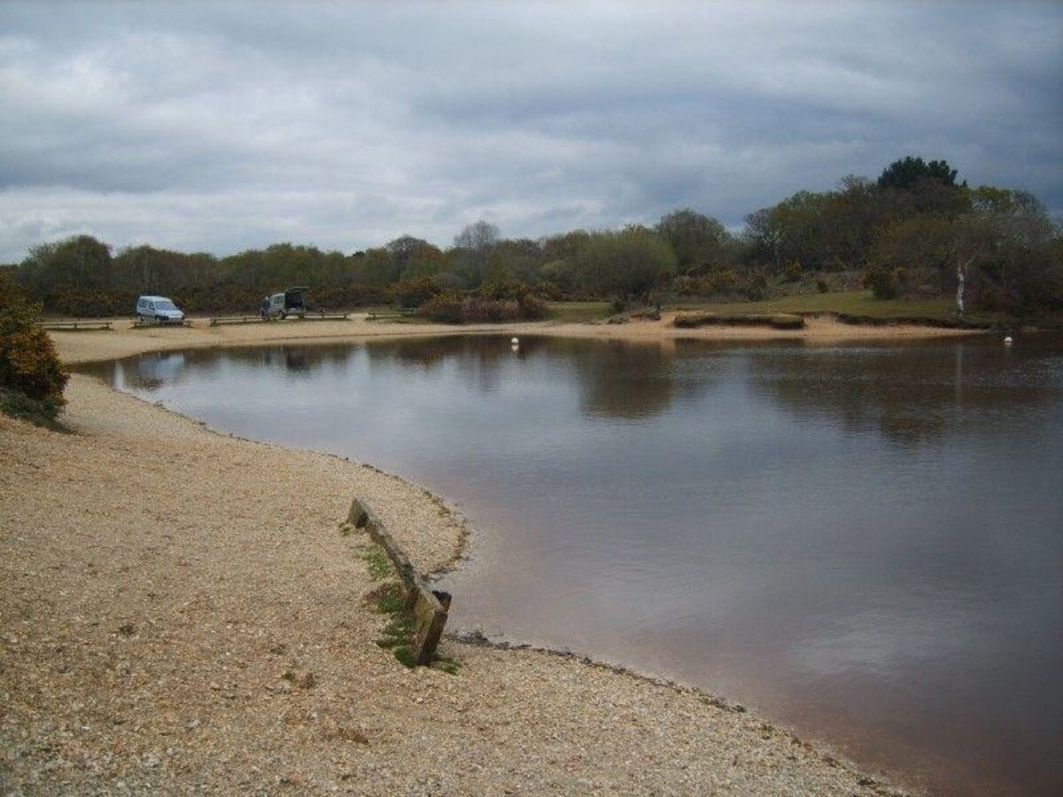 Setley Pond (New Forest) large photo 4