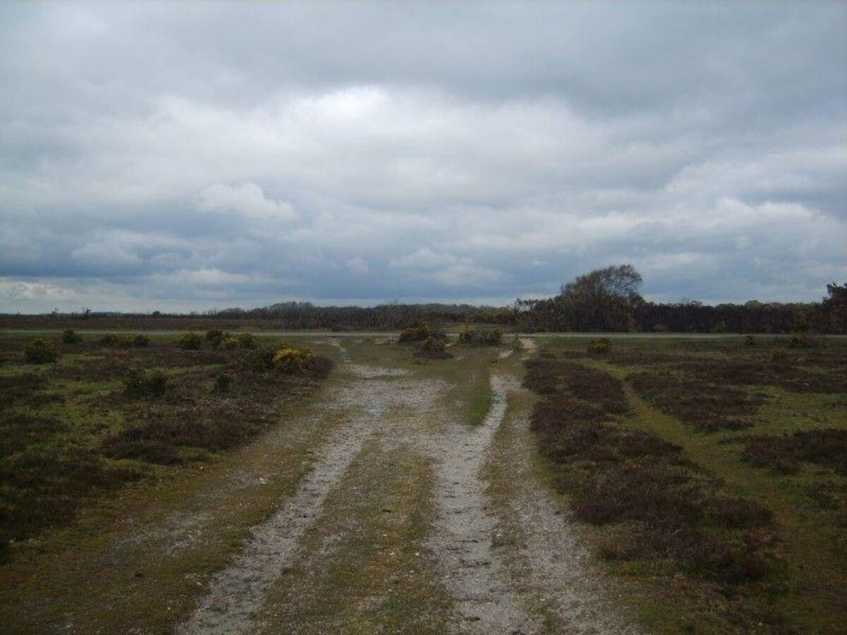 Setley Pond (New Forest) large photo 5