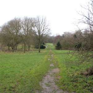 Shady Lane Arboretum