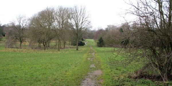 Shady Lane Arboretum