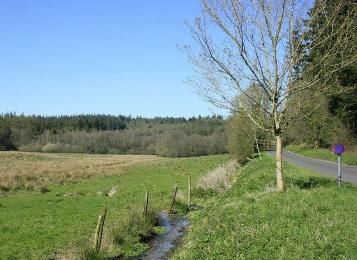 Shearwater Lake large photo 4