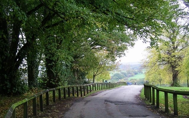 Shipley Country Park Dog walk in Derbyshire