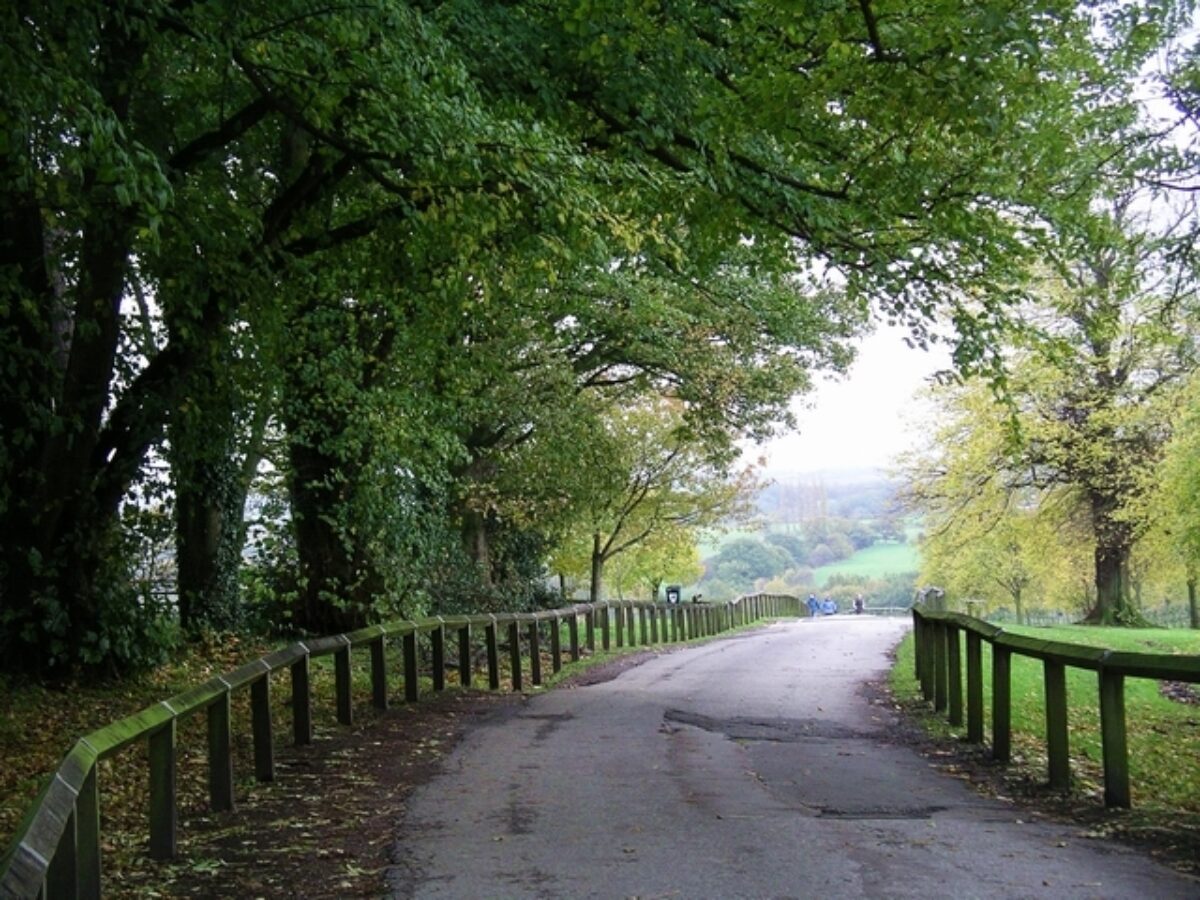 Shipley Country Park large photo 1