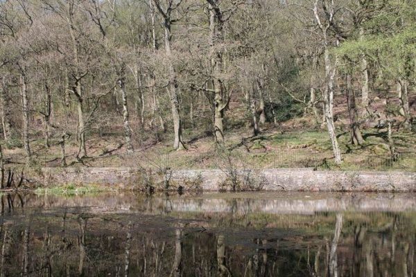 Shipley Glen, Shipleyphoto