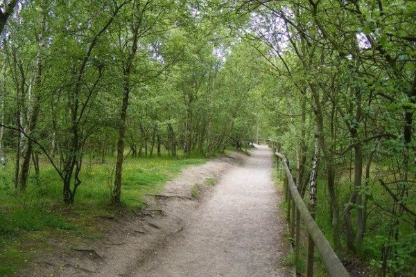 Shorne Woods Country Parkphoto