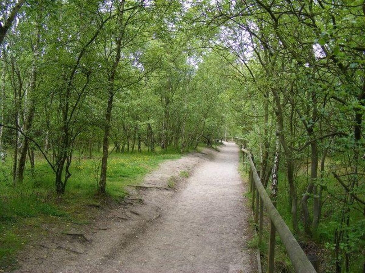 Shorne Woods Country Park large photo 1