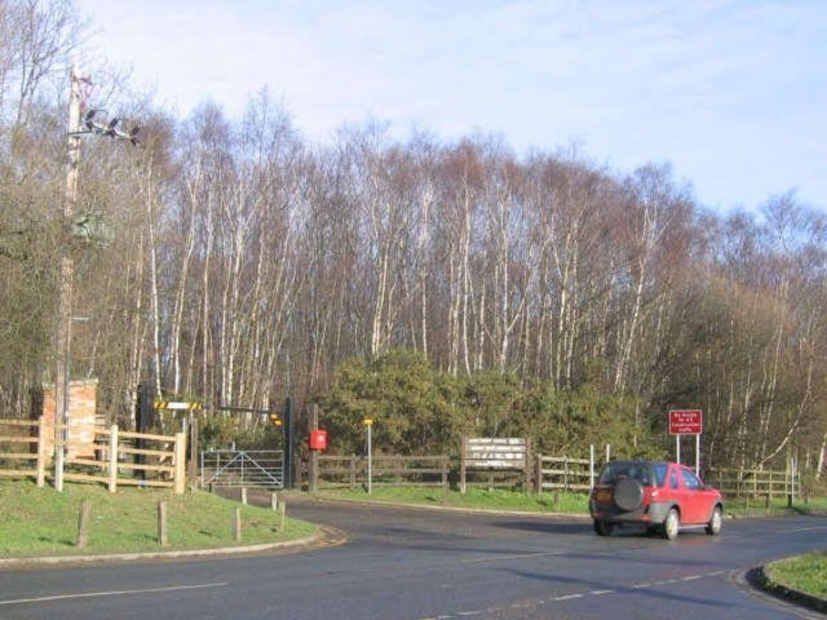 Shorne Woods Country Park large photo 2