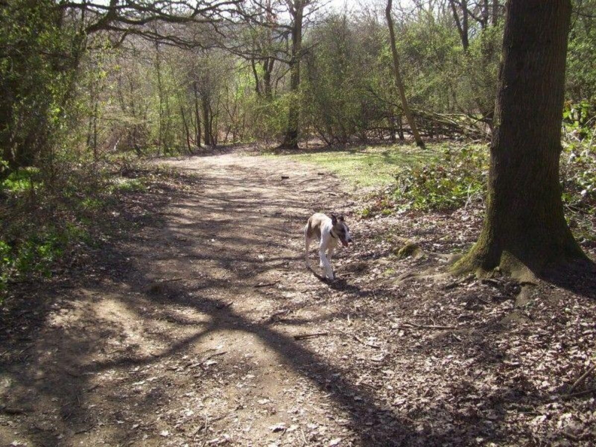 Shotover Country Park large photo 1