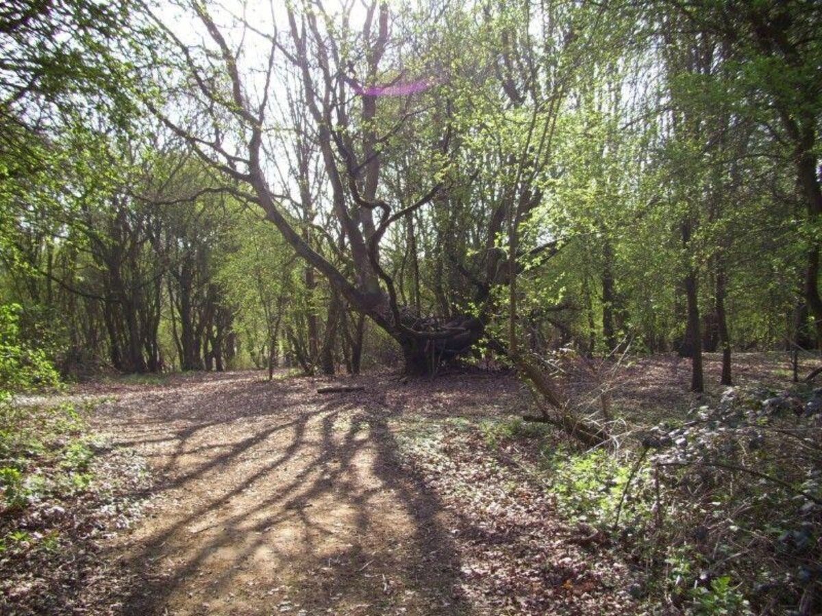 Shotover Country Park large photo 2