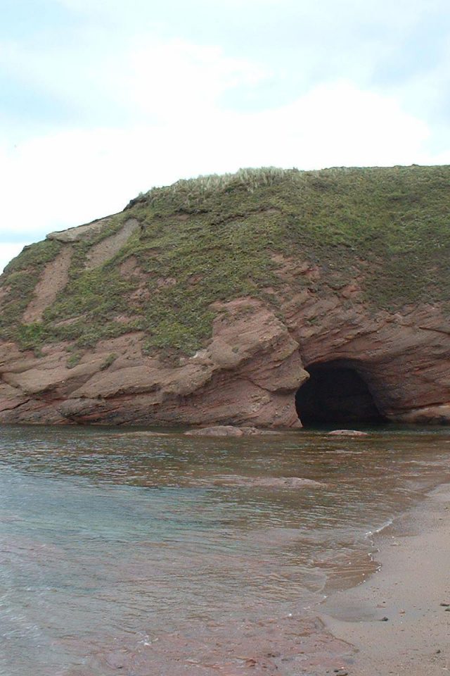 Dog walk at Silver Sands Beach, Aberdour · Fife · Walkiees