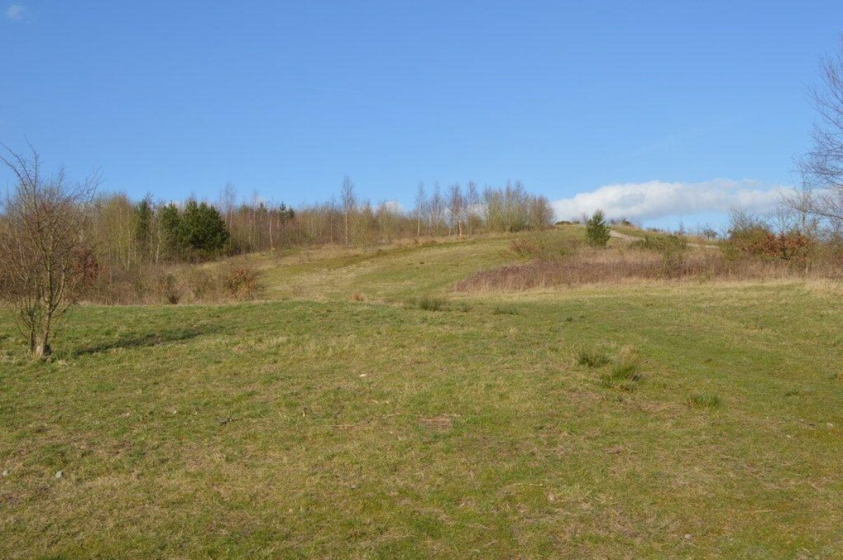 Silverdale Country Park large photo 5