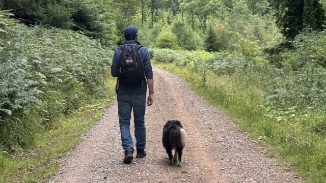 Dog walk at Soudley Ponds