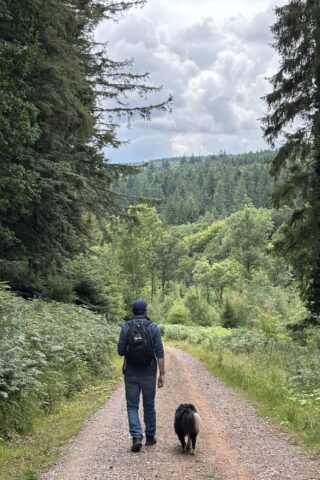 Dog walk at Soudley Ponds photo
