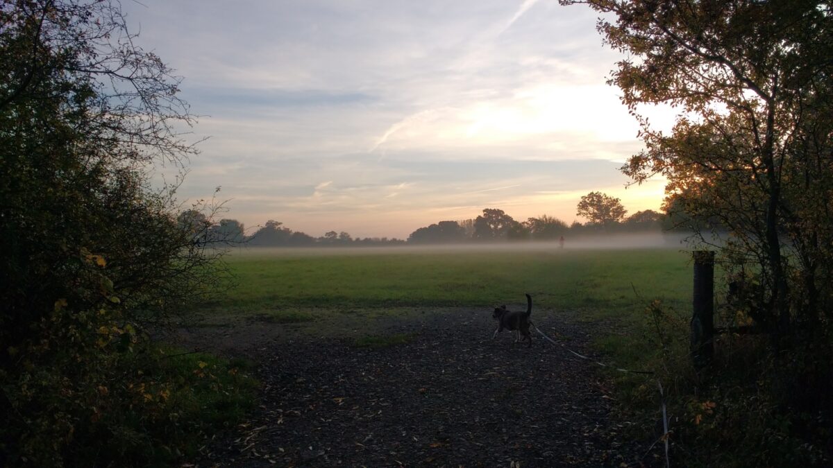 Southwick Country Park large photo 1