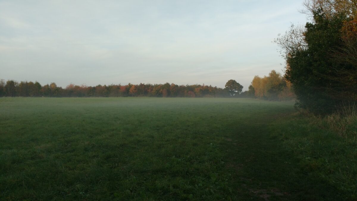 Southwick Country Park large photo 2