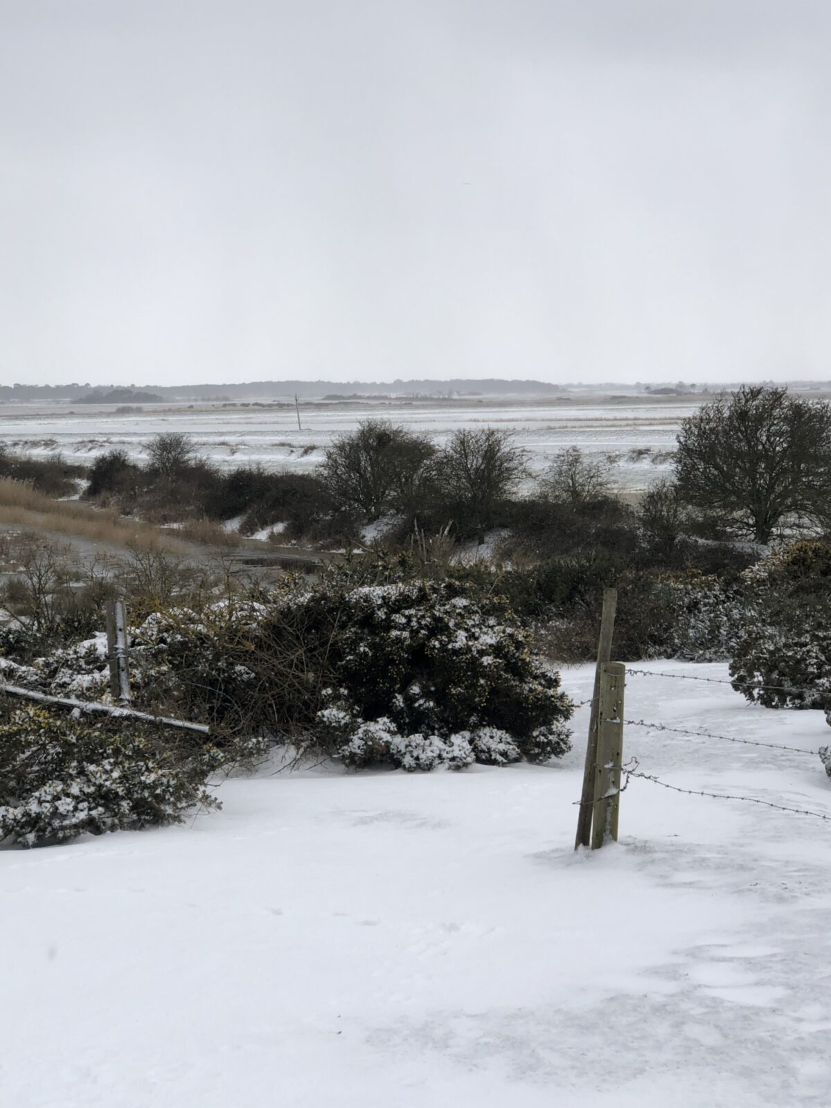 Southwold Common large photo 2