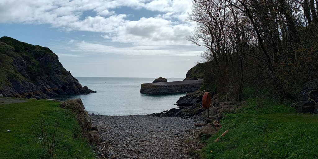 Dog walk at Stackpole Quay · Pembrokeshire · Walkiees