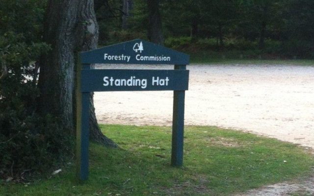 Standing Hat, New Forest Dog walk in Hampshire