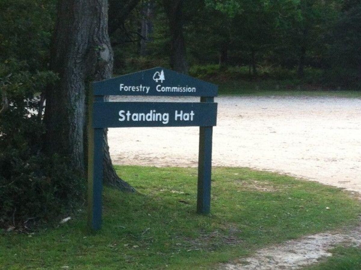 Standing Hat, New Forest large photo 1