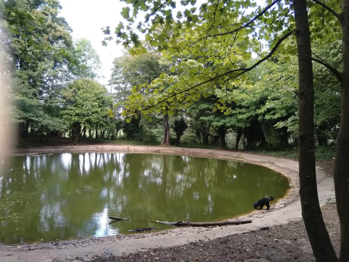 Stanmer Park, Brighton large photo 5